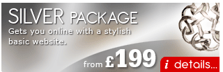 Silver Web Design Package
