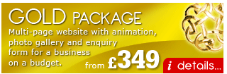 Gold Web Design Package