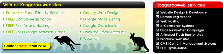Services offered by Kangaroo Web